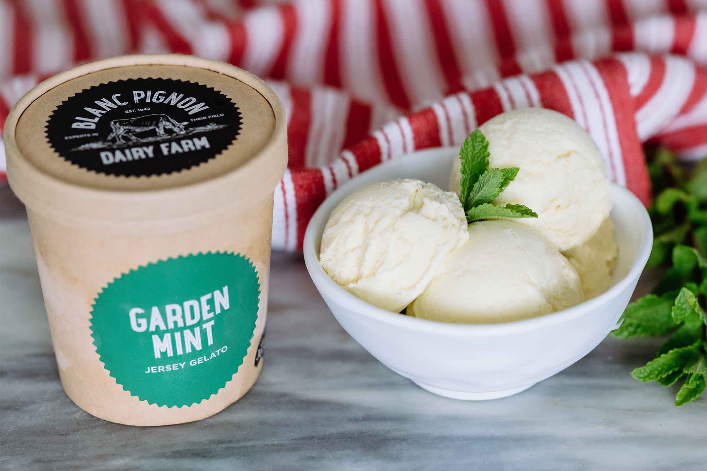 Blanc Pignon Mint Choc Chip Gelato