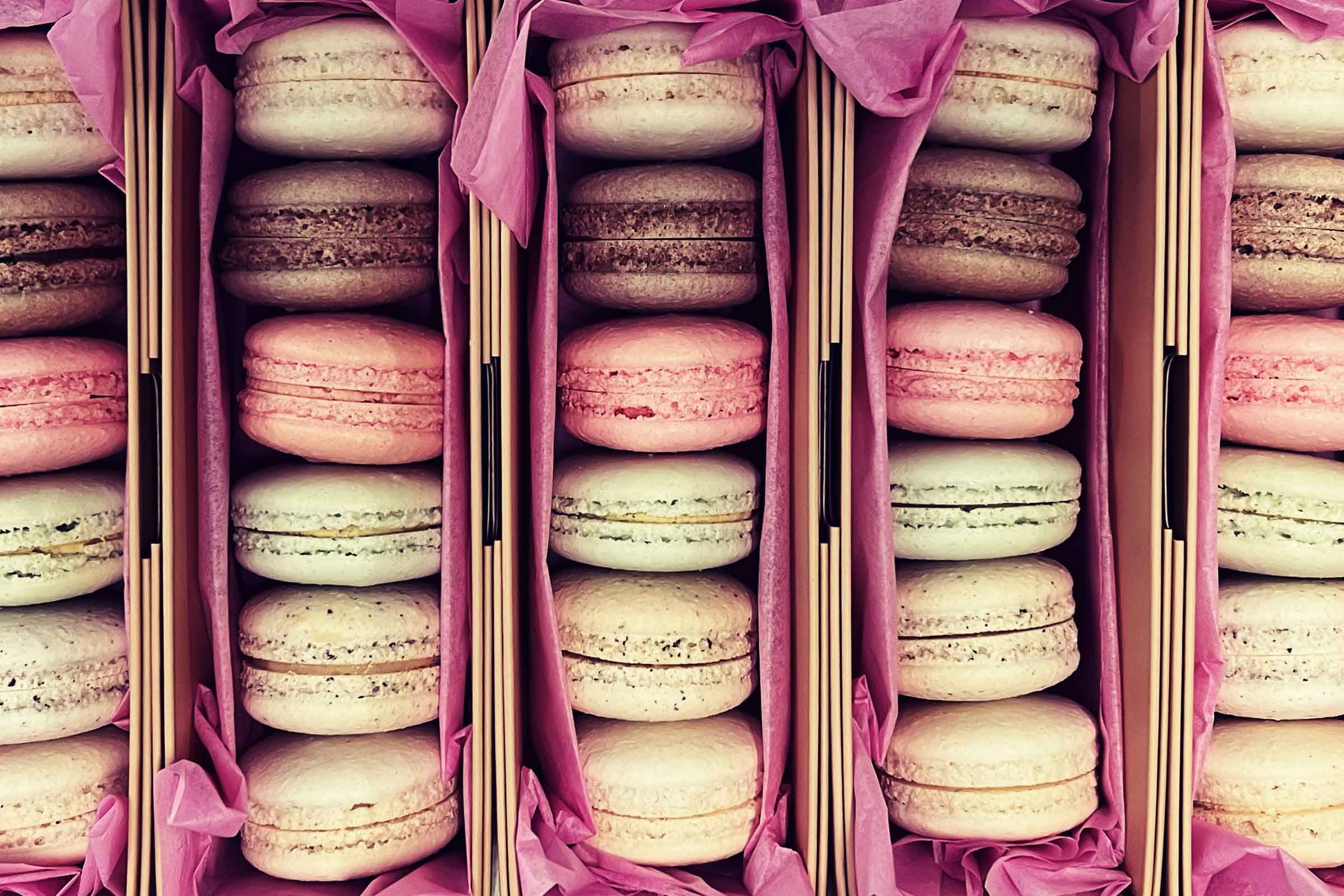 Blanc Pignon Macarons