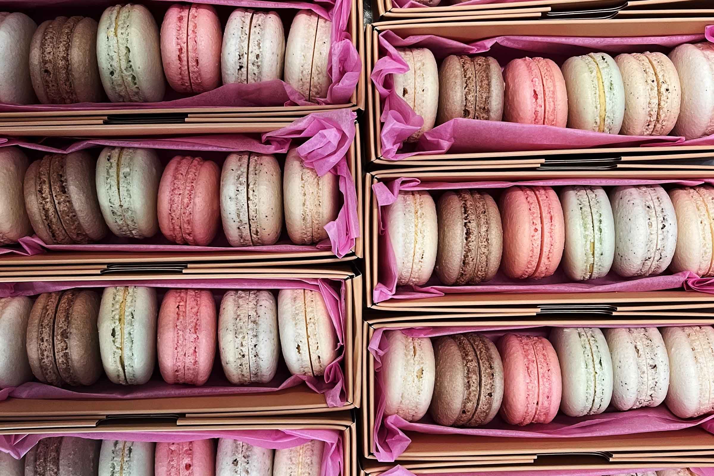 Blanc Pignon Macarons