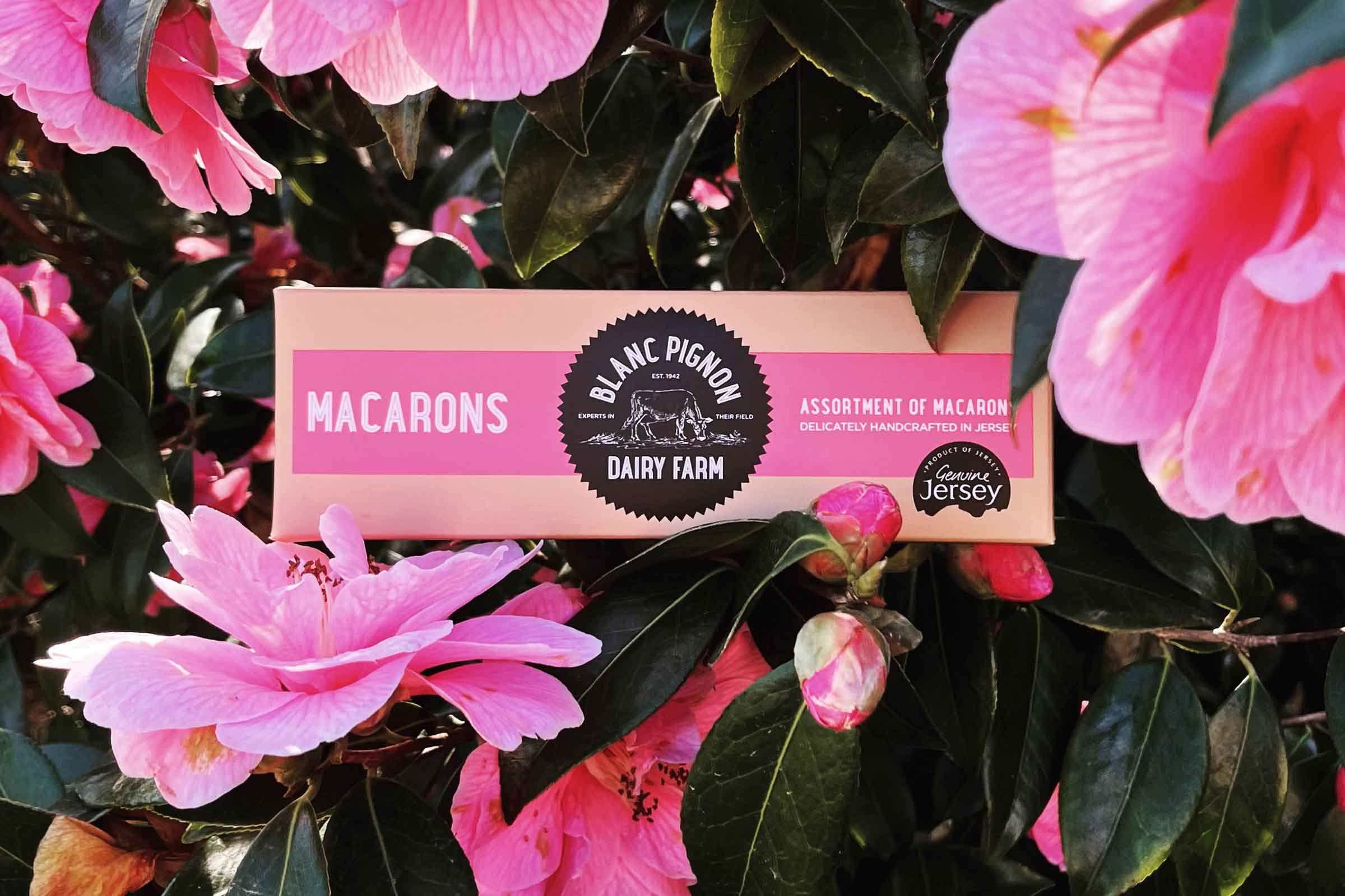 Blanc Pignon Macarons