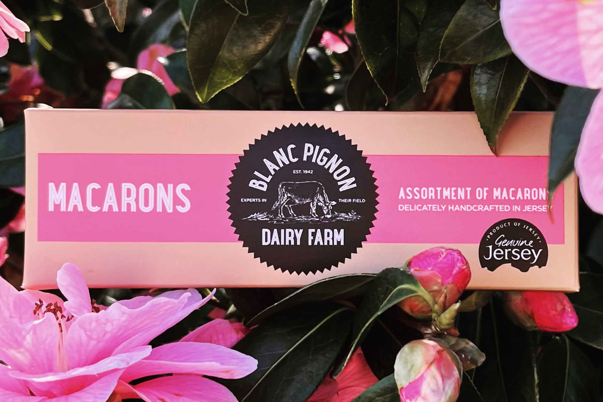 Blanc Pignon Macarons