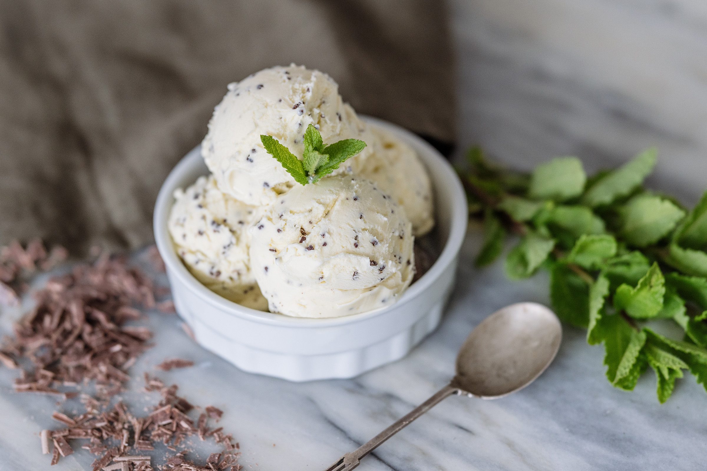 Blanc Pignon Mint Choc Chip Gelato