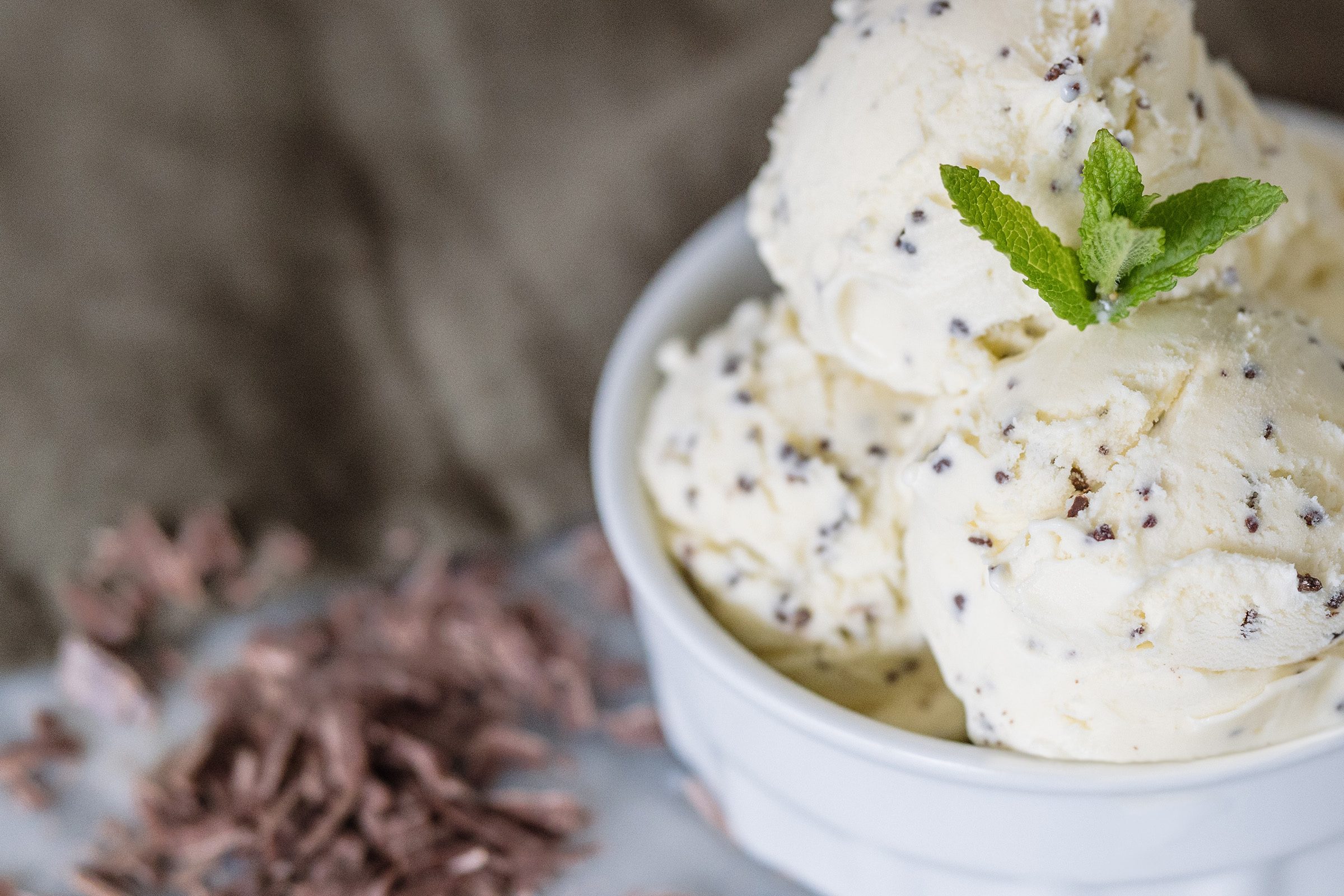 Blanc Pignon Mint Choc Chip Gelato