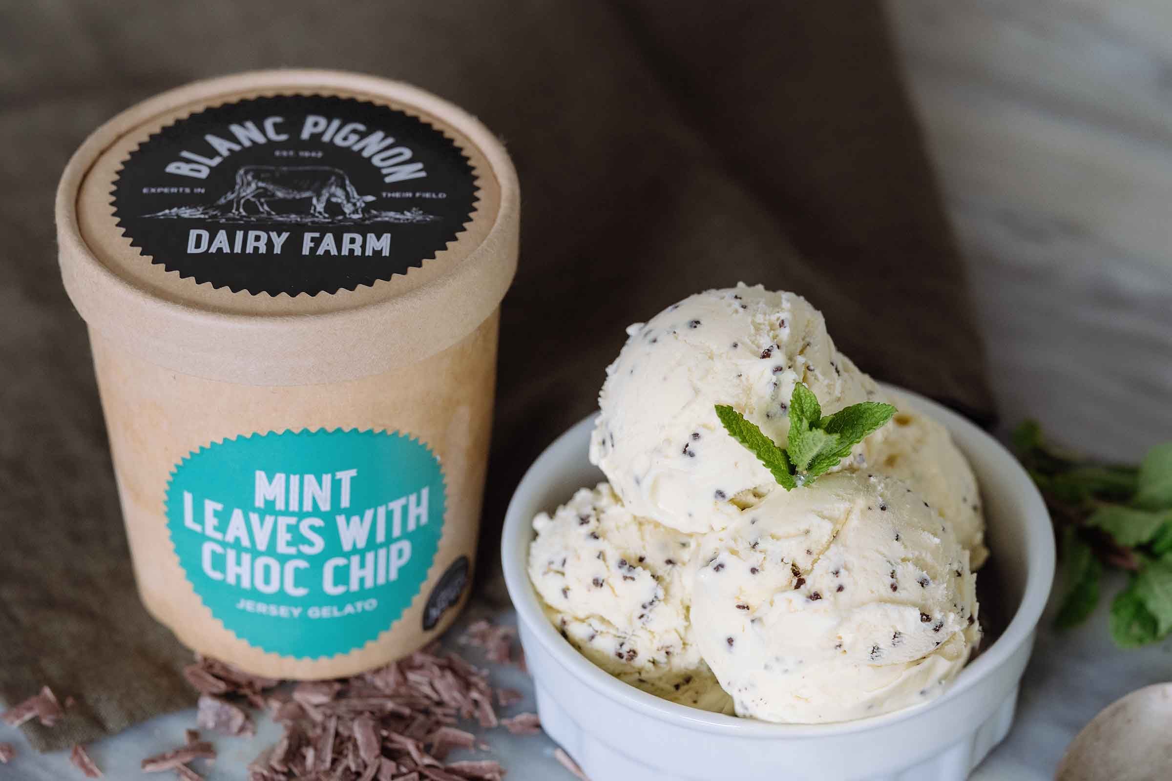 Blanc Pignon Mint Choc Chip Gelato