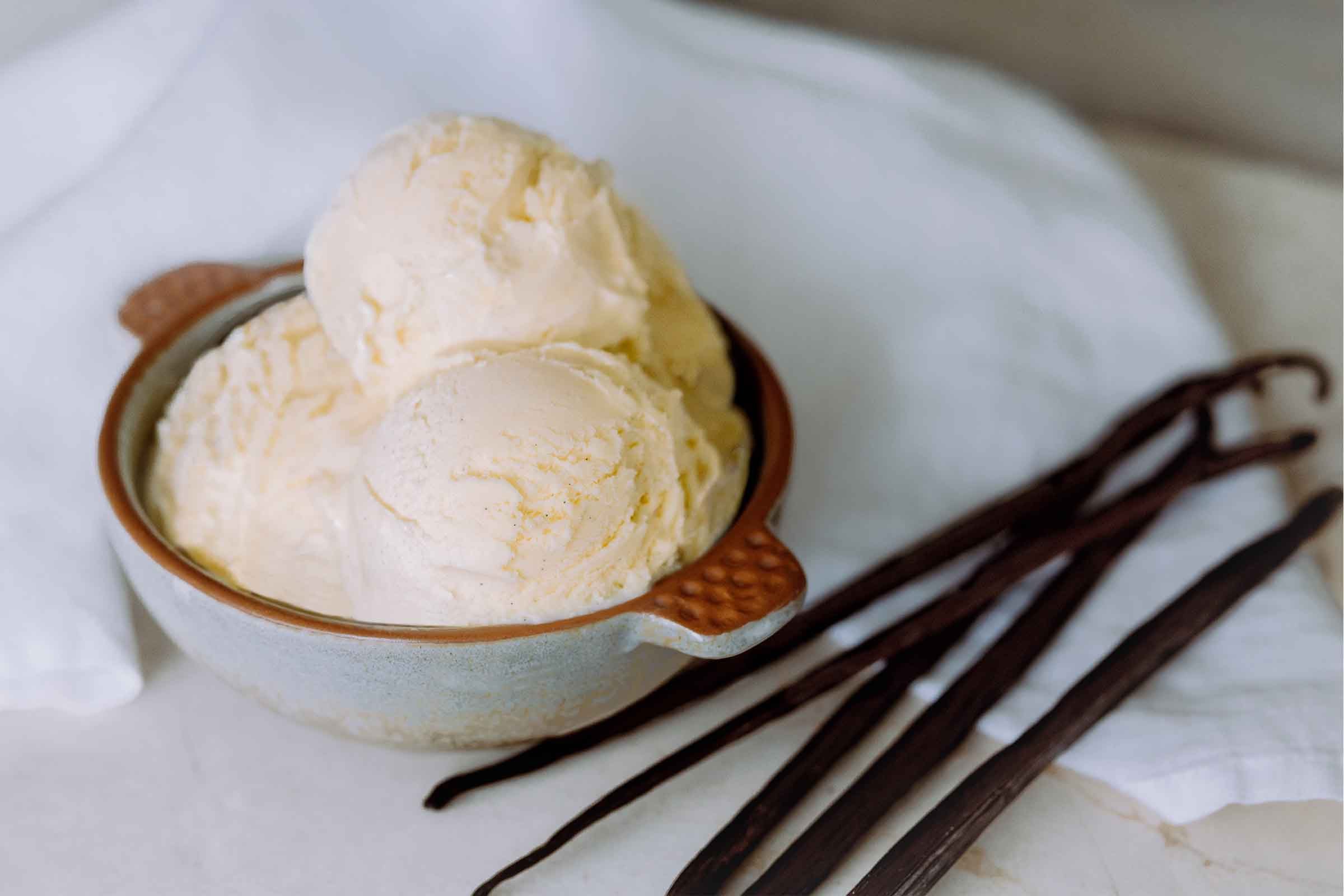 Blanc Pignon Vanilla Gelato